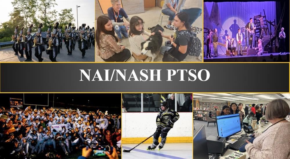  NAI/NASH PTSO